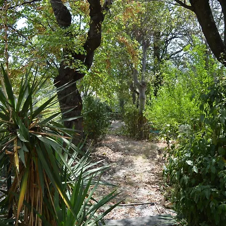 A Casa Della Contessa Maria